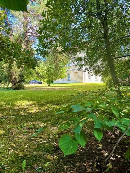 Dolna 17 - Mokotow Appartement