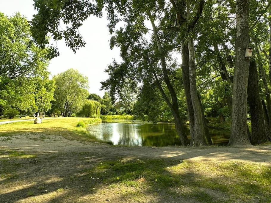 Dolna 17 - Mokotow Appartement *